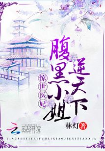 驚世醫妃：腹黑小姐逆天下
