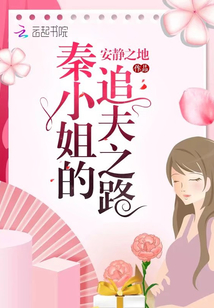 秦小姐的追夫之路