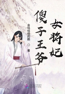 傻子王爺女將妃