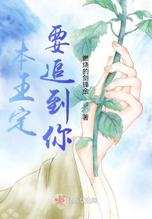 本王定要追到你
