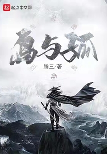 島與孤