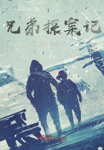 兄弟探案記