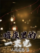 暗夜里的一束光在線閱讀