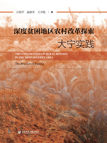 深度貧困地區農村改革探索：大寧實踐
