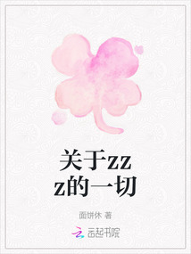 關(guān)于zzz的一切