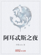 阿耳忒斯之夜在线阅读