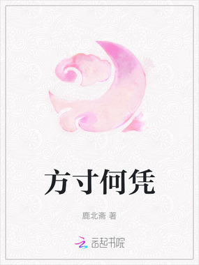 方寸何凭在线阅读