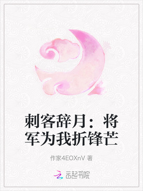 刺客辞月:将军为我折锋芒在线阅读