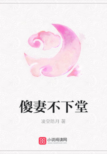 傻妻不下堂