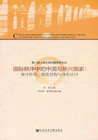 国际秩序中的中国与新兴国家：领导作用、制度建构与身份认同在线阅读