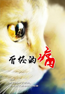 曾經(jīng)的痛