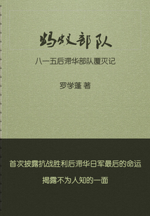 蚂蚁部队:八一五后滞华日军覆灭记