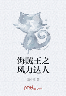 海賊王之風(fēng)力達(dá)人