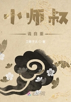 小師叔，請自重在線閱讀