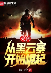 亮劍:從黑云寨開始崛起