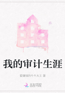 我的審計生涯