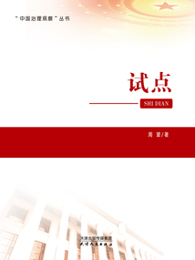 試點(“中國治理觀察”叢書)