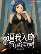 火影:逼我入晓,你有这个实力吗在线阅读