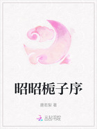 昭昭栀子序在线阅读