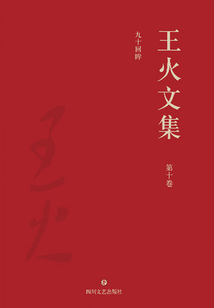 王火文集·第十卷:九十回眸