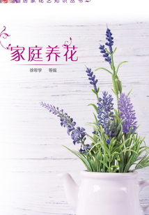 家庭養(yǎng)花