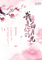 陛下，我是你的白月光在線閱讀