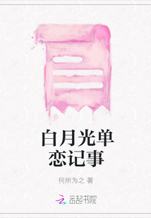 白月光单恋记事