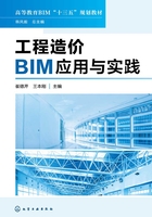 工程造价BIM应用与实践