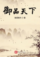 御品天下在线阅读