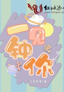 一见便钟于你