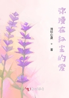 彌漫在紅塵的愛在線閱讀