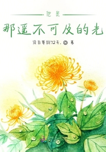 他是那遙不可及的光