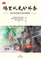 锦里风光分外春:2021年武侯区文艺作品精粹在线阅读