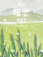 我的暗恋来迟了在线阅读
