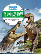奇妙的动物界(国家地理动物百科)在线阅读