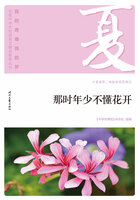 “我的青春我的梦”全国中学生校园美文精品集萃丛书:那时年少不懂花开在线阅读