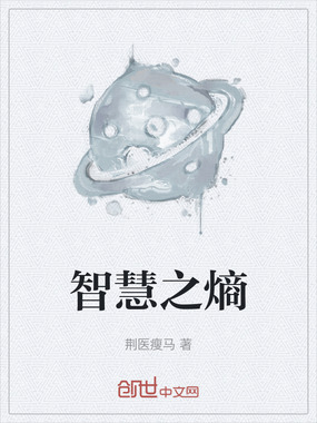 智慧之熵在线阅读