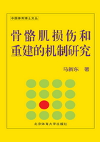 骨骼肌损伤和重建的机制研究