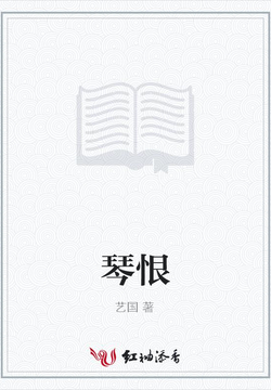 琴恨 封面