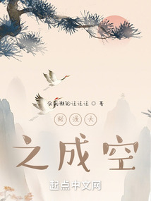 路漫天之成空