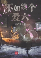 不如续个爱六在线阅读