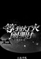 等到燈火闌珊時在線閱讀