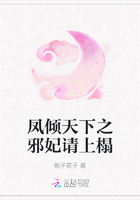 鳳傾天下之邪妃請上榻在線閱讀