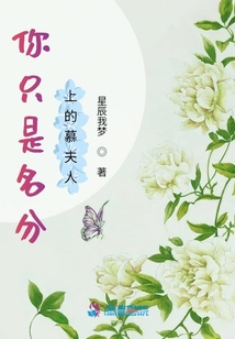 你只是名分上的慕夫人