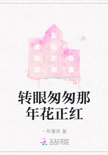 轉(zhuǎn)眼匆匆那年花正紅