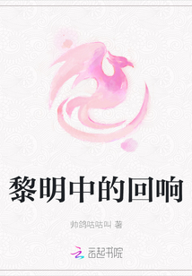 黎明中的回响