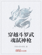 穿越斗罗武魂弑神枪在线阅读