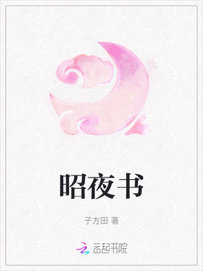 昭夜书在线阅读