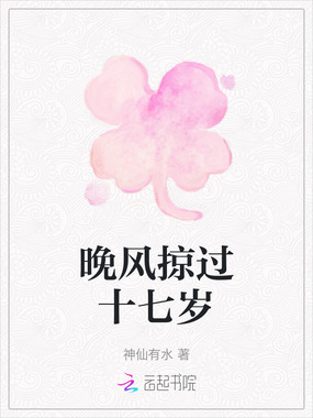 晚风掠过十七岁在线阅读