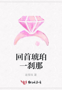 回首琥珀一剎那
